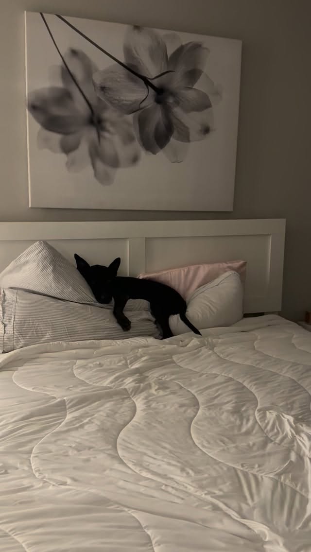He is just the sweetest!